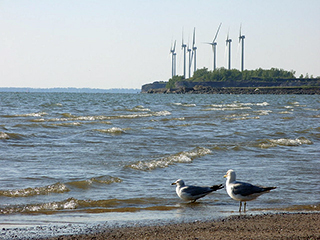 Lackawana, New York Windmills