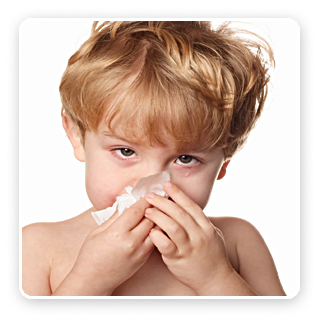 Indoor Air Quality, Filtration, Purification Products & Services